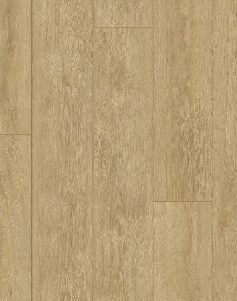 Suelo Laminado Gold Laminate PRO800 Gran Real AC5 8mm | Bisel 4V