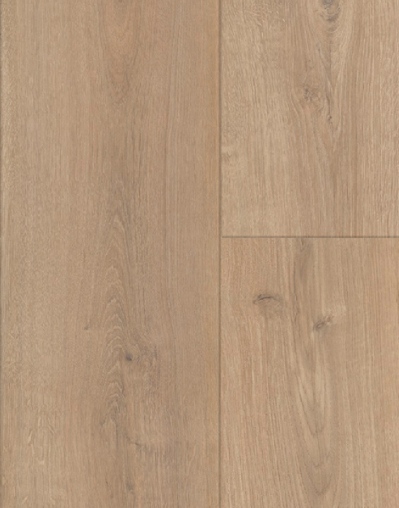 Suelo Laminado Gold Laminate PRO800 Gran Real AC5 8mm | Bisel 4V
