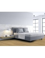 Suelo Laminado Gold Laminate PRODiamond AC6 8mm | 1 Lama